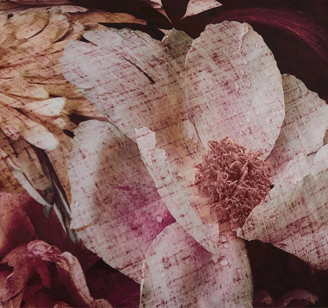 Rosetta Quilt Cover Set Plum