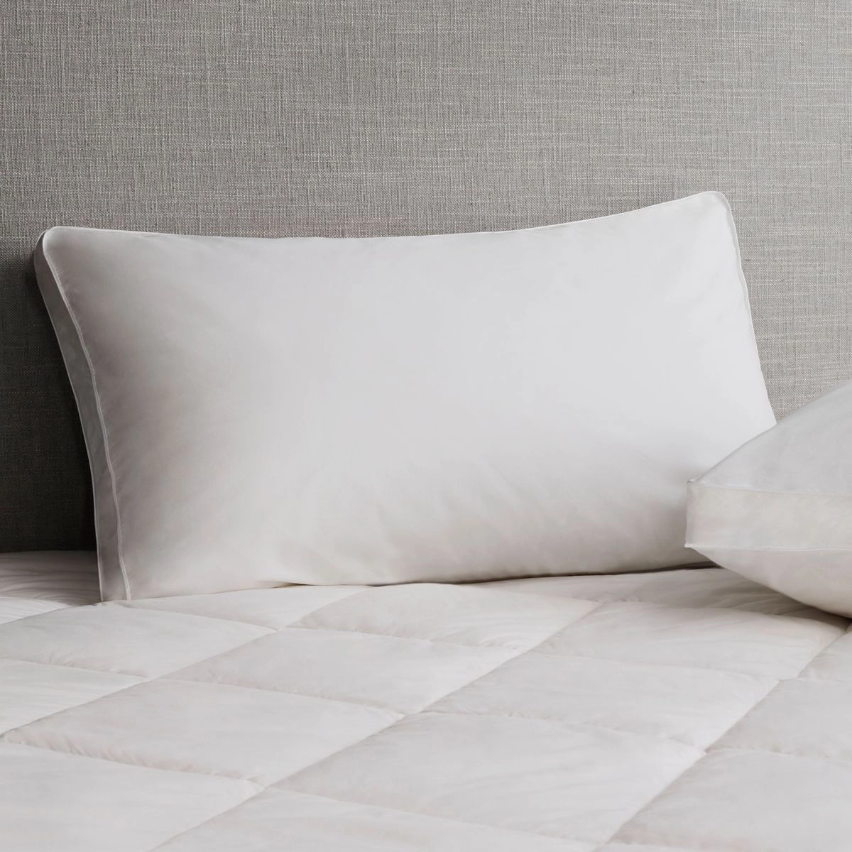 Ultracool Cotton Pillow Protector by Sheridan